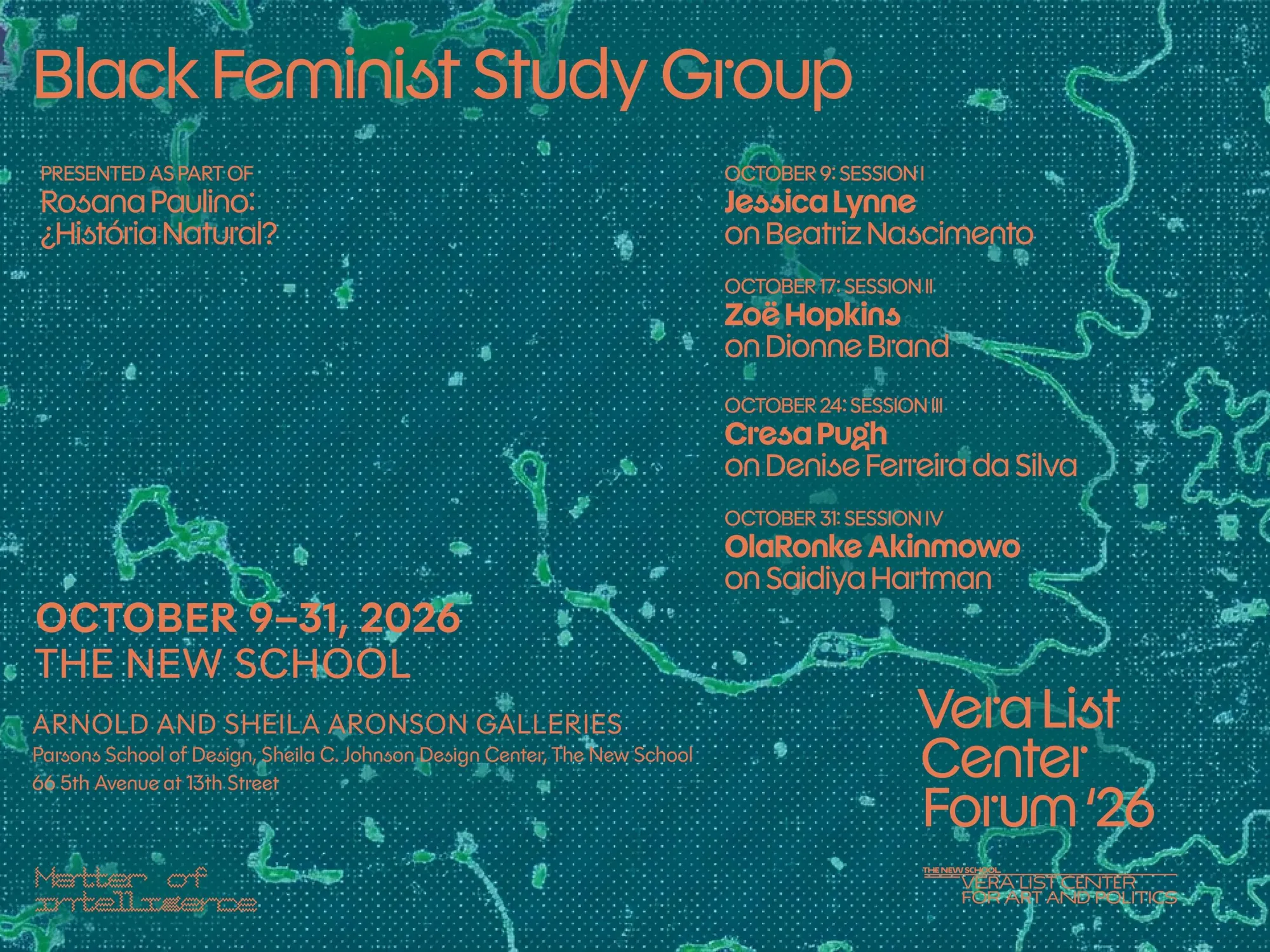 Black Feminist Study Group: Session IV