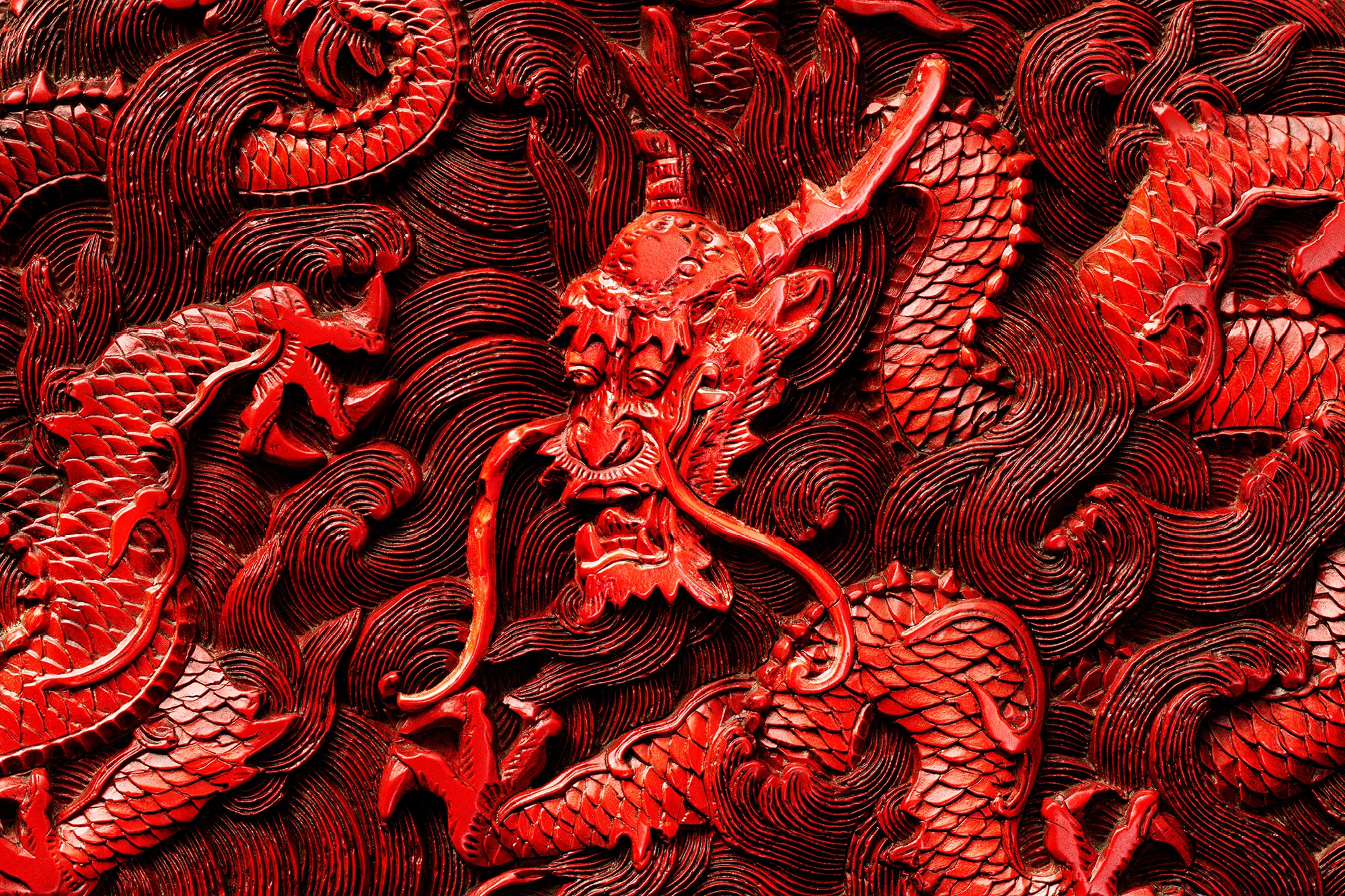 Rot