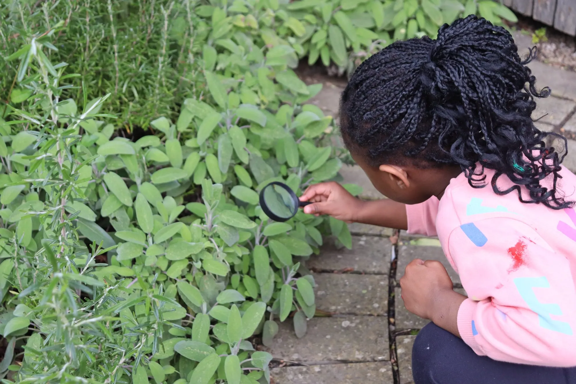 Children’s Garden Trail