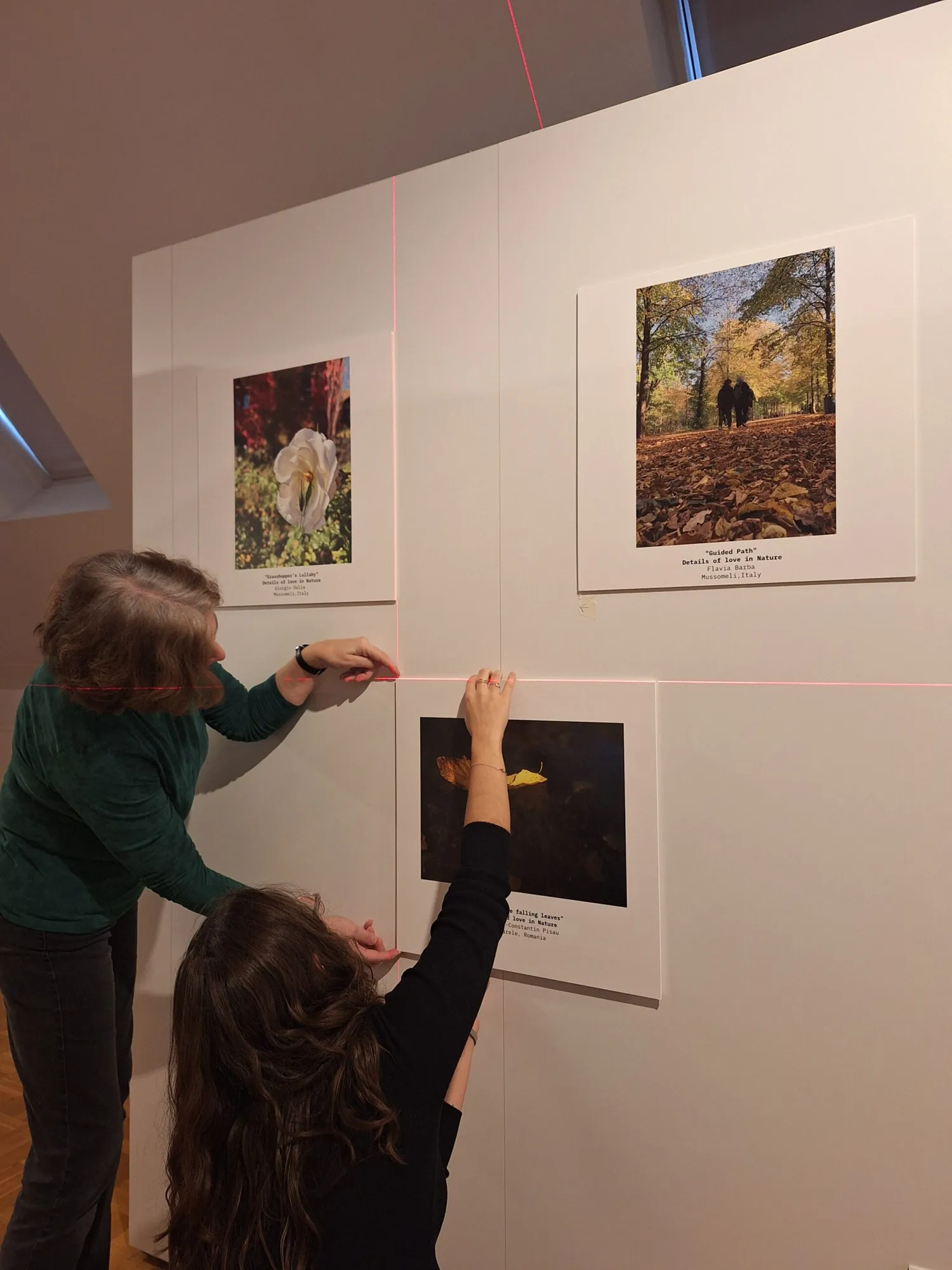 „Nature in Frame“ – Berlin, Deutschland