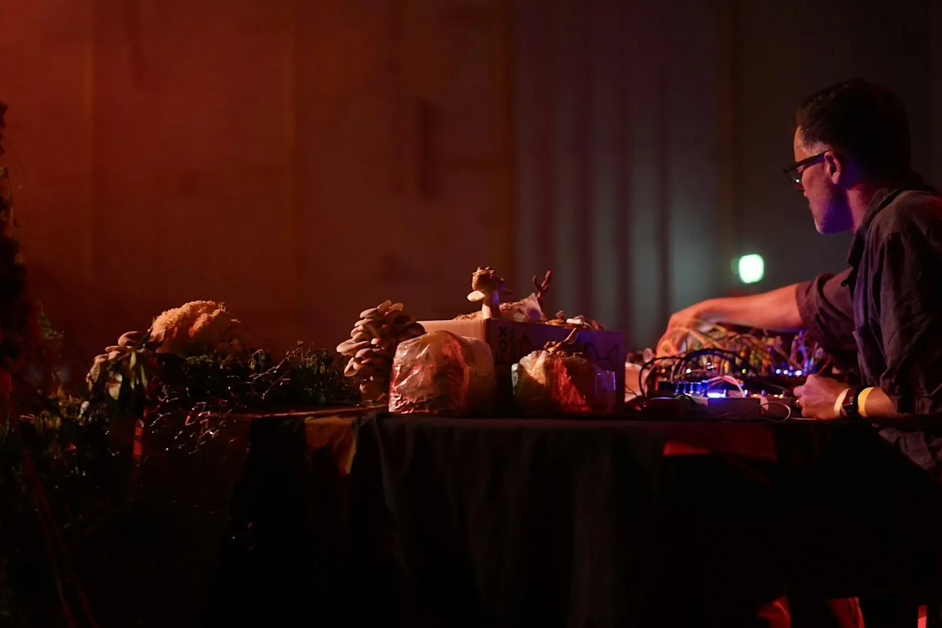 Mushroom Music (and Dance) Gig