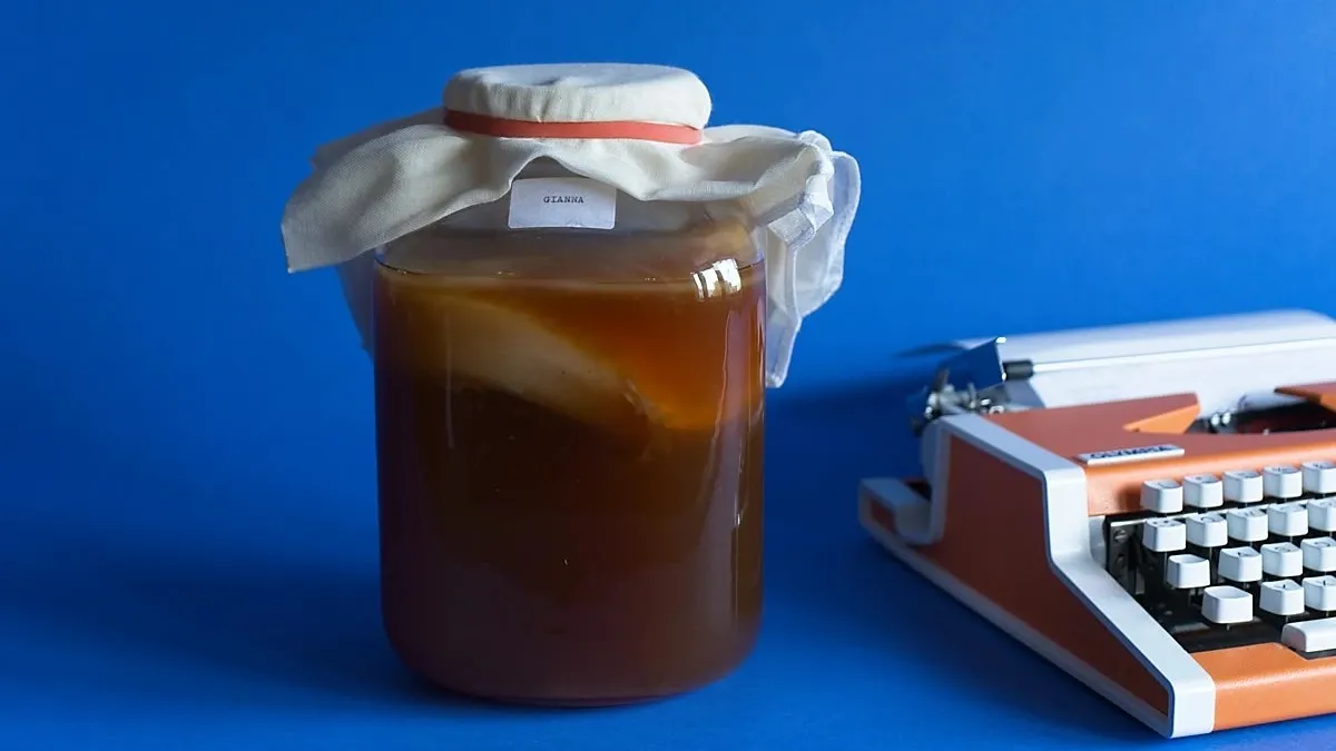 Fermenta Collective: kombucha in the jar
