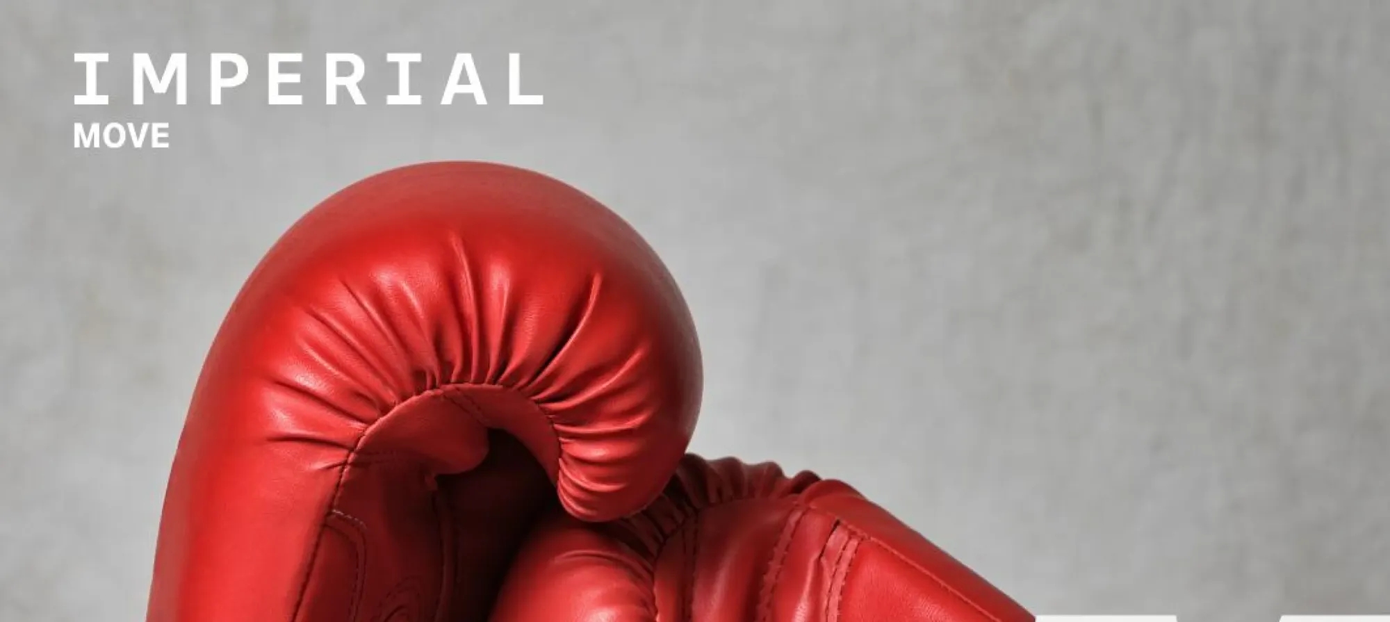 Muay Thai Boxing – Movember