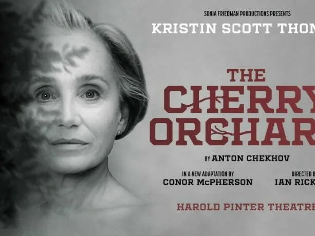 The Cherry Orchid
