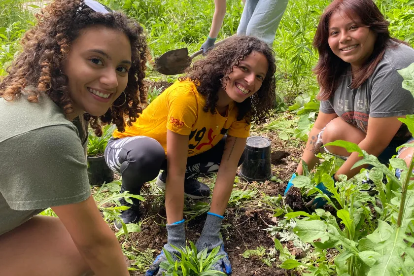 Woodlawn Pollinator Garden Volunteer Event