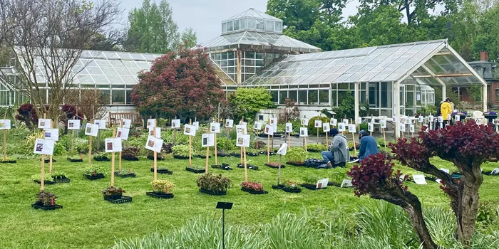 Autumn Bulb and Plant Sale