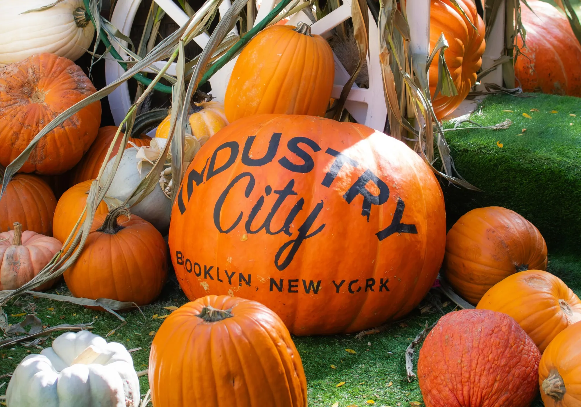 Trick-or-Treat at Industry City