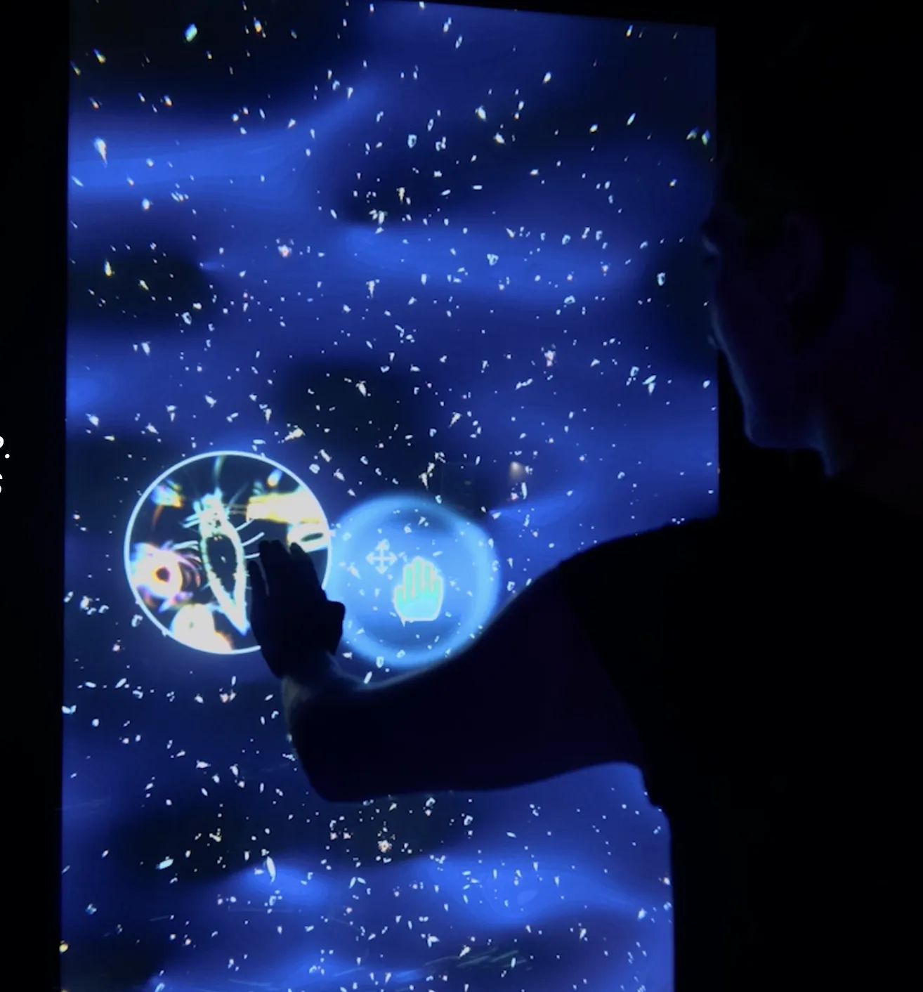 ARTECHOUSE: Twilight Zone - Hidden Wonders of The Ocean