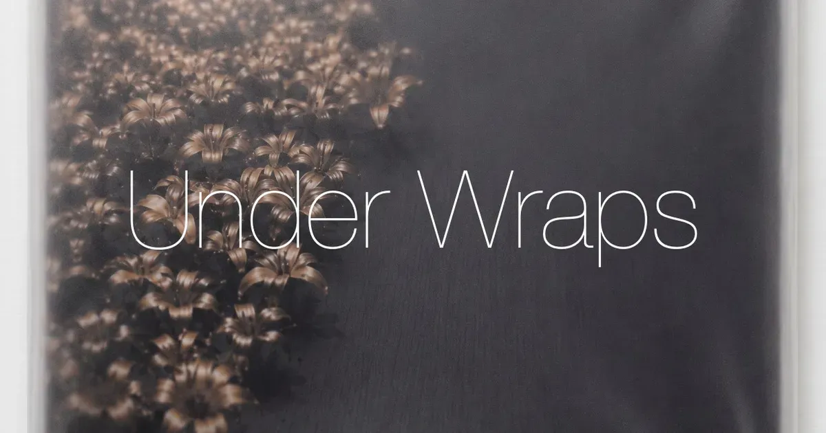 Under Wraps Inaugural Mayfair Group Exhibition