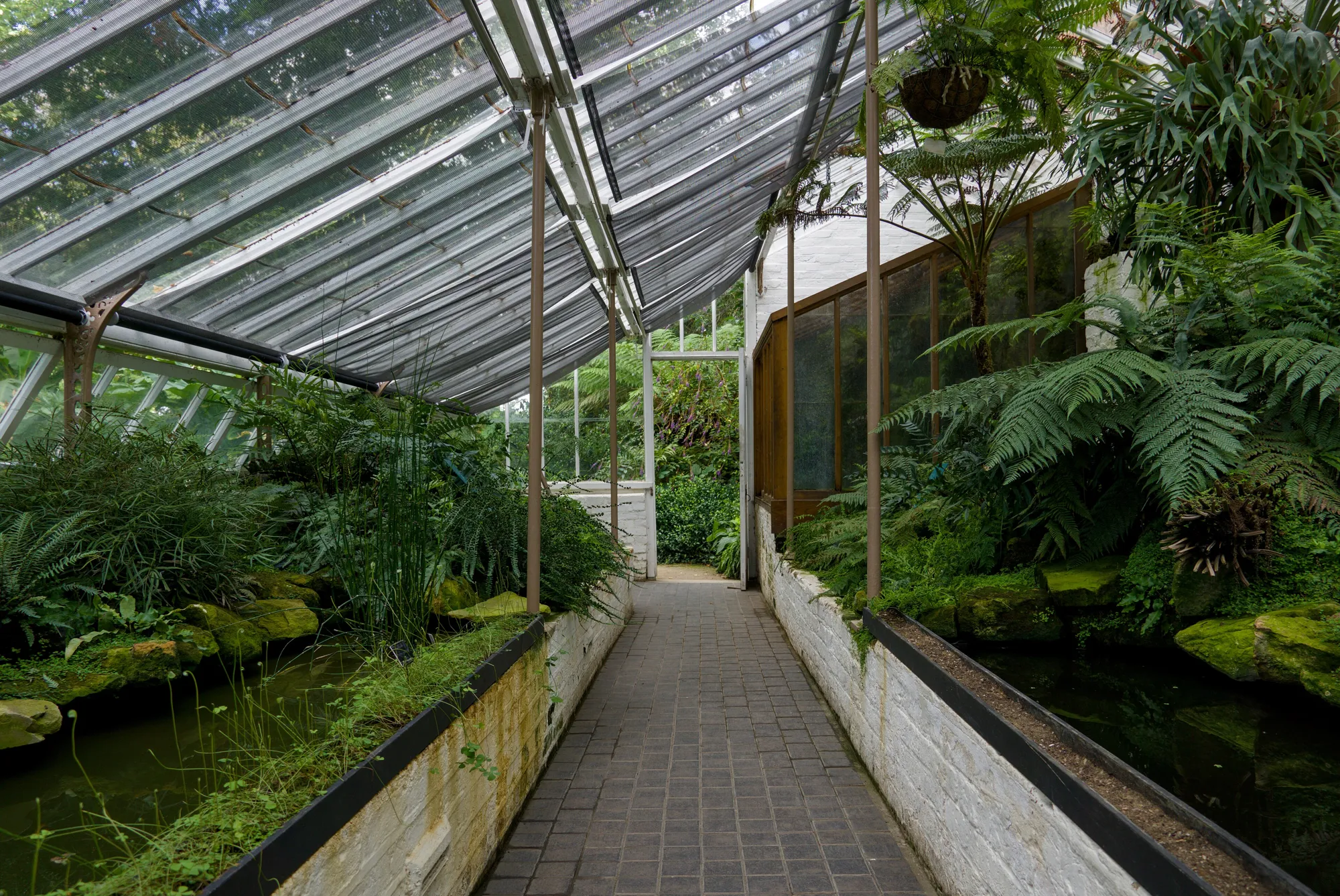 Chelsea Physic Garden