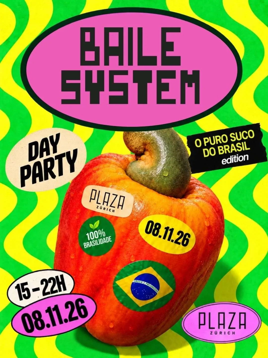 Baile System – O Puro Suco do Brasil Edition 2