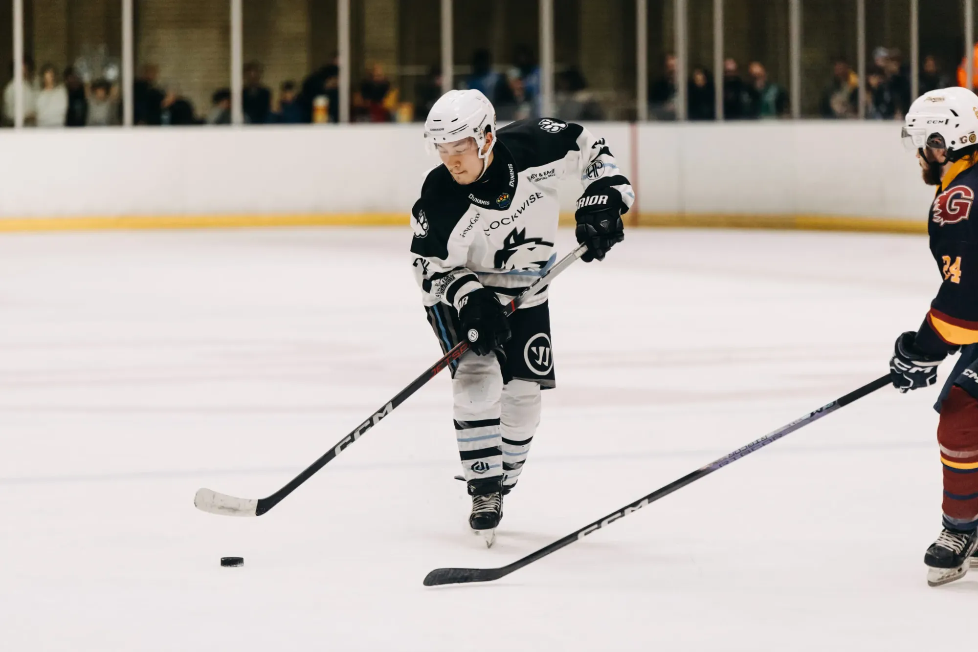 EJMC: Haringey Huskies v Invicta Mustangs