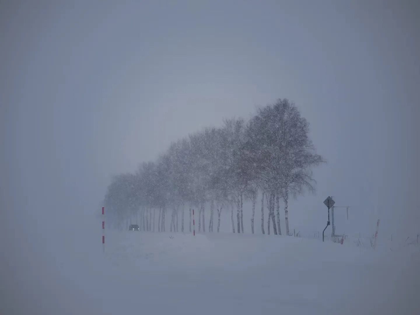 Momentum
