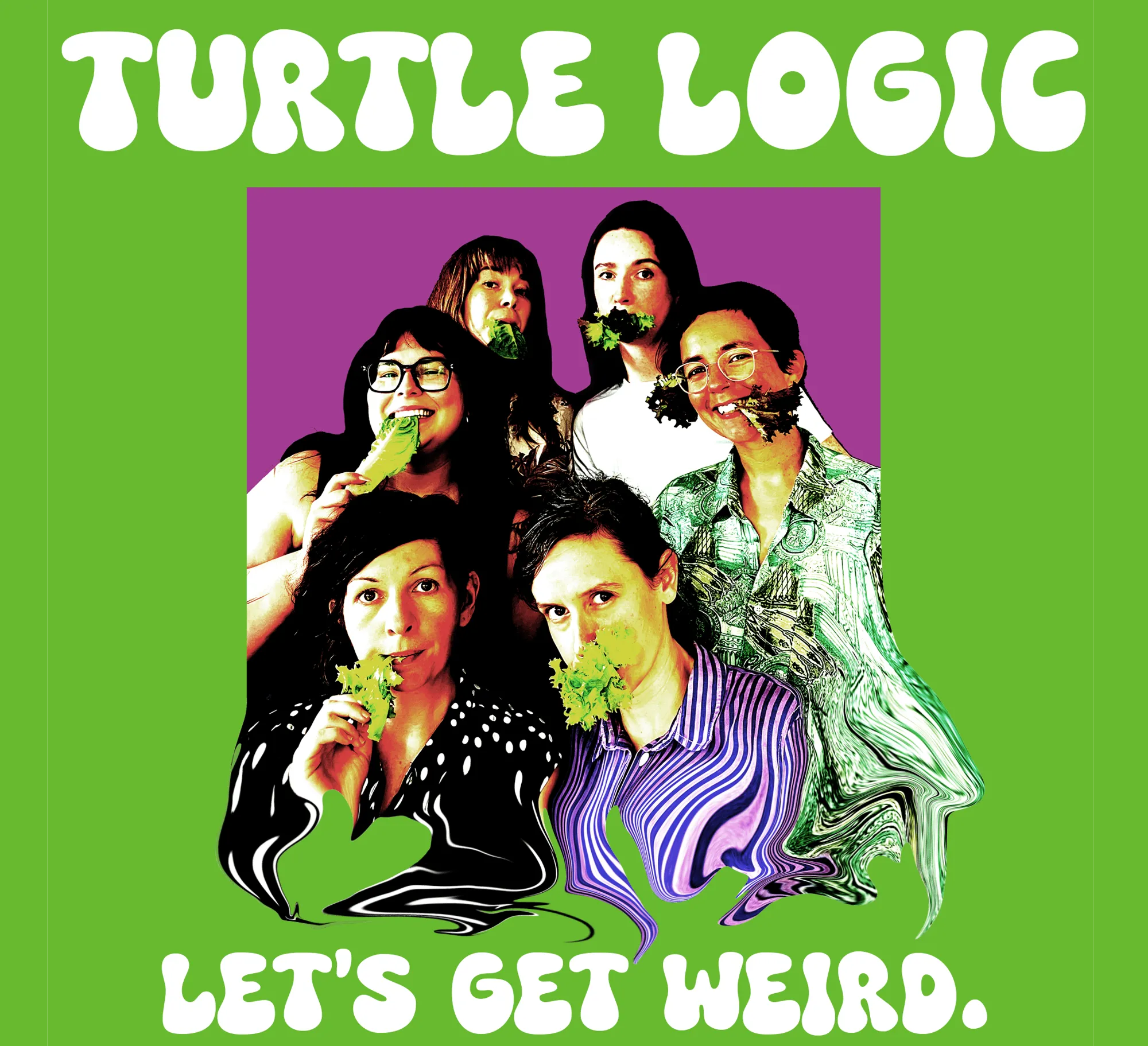 Turtle Logic