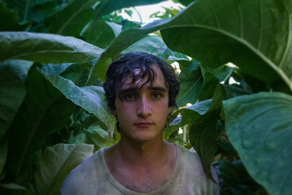 Lazzaro felice