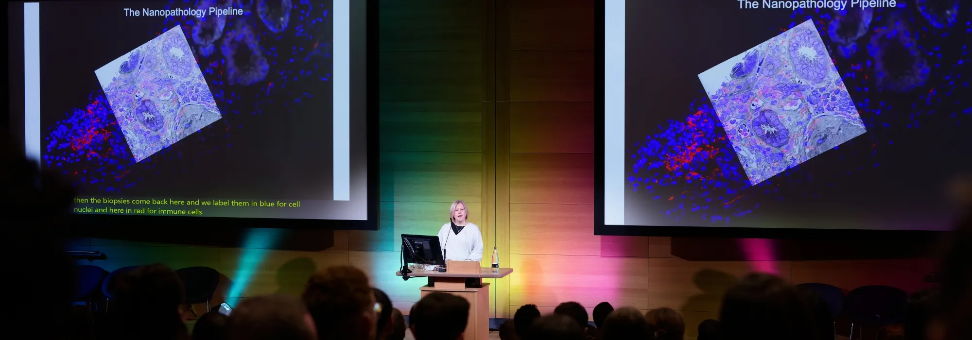 Immunology Seminar | Florent Ginhoux