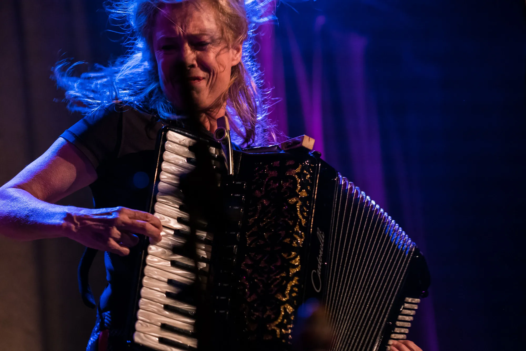 The Cats Back - Konzert
